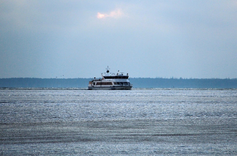 Eiszeit auf Hiddensee am 03.01.2016