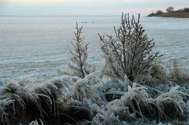 Eiszeit auf Hiddensee am 03.01.2016